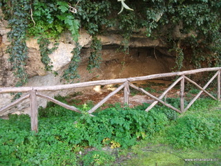 tapiccola-13-01-2013 08-35-47